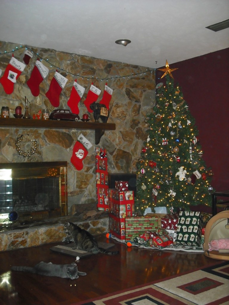 Holiday Pet Safety Holiday safety for dogs