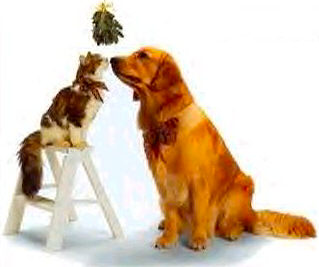 List of Holiday Pet Hazards A Must Read!!!
