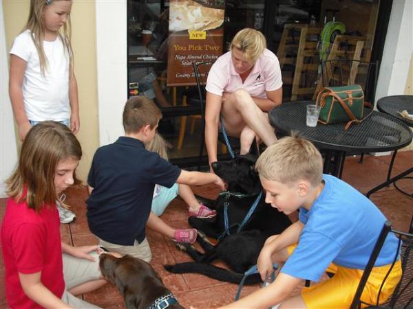 Good Behavior Dog Training on Socializing Your&nbsp;Dog