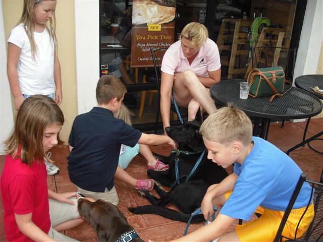 Good Behavior Dog Training on Socializing Your&nbsp;Dog
