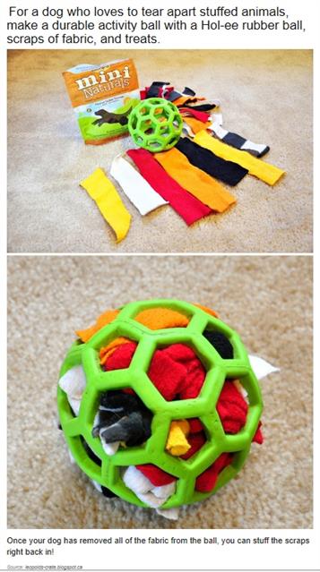Fun Toys to Keep Your Dog&nbsp;Busy