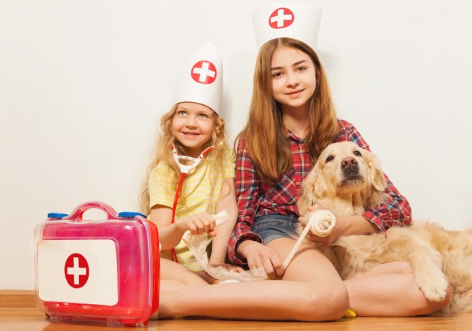 Essential Dog First Aid Kit&nbsp;Items