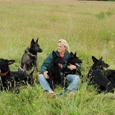 Robin LeBlanc seated in an open field with seven German Shepherds during the early years of a lifelong journey with dogs