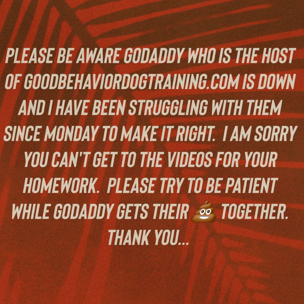 Bad GoDaddy