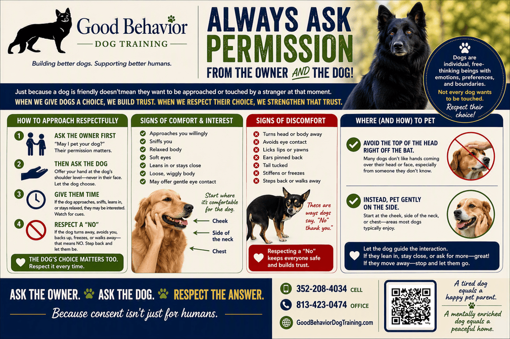Always Ask Permission from the Owner AND the Dog | Good Behavior Dog Training
