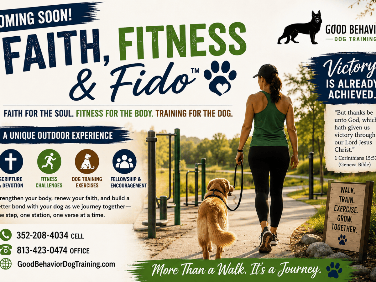 Coming Soon: Faith, Fitness &&nbsp;Fido™