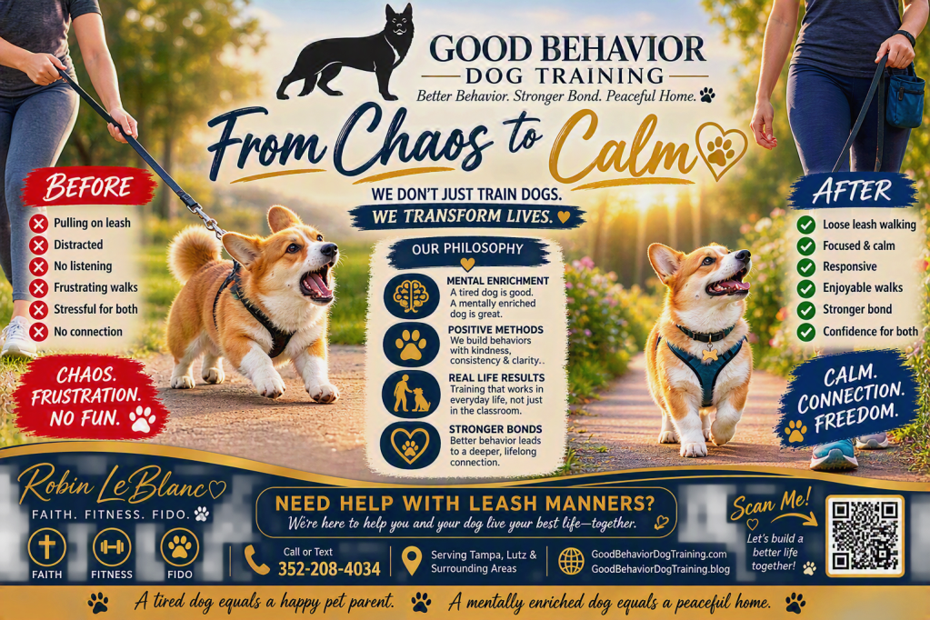 Good Behavior Dog Training before-and-after dog training graphic featuring a Corgi learning leash manners. The left side shows a distracted dog pulling on leash and struggling to focus, while the right side shows the same dog calmly walking beside the handler with loose leash skills. The graphic highlights Good Behavior Dog Training's philosophy of mental enrichment, positive methods, real-life results, and stronger relationships between dogs and owners.